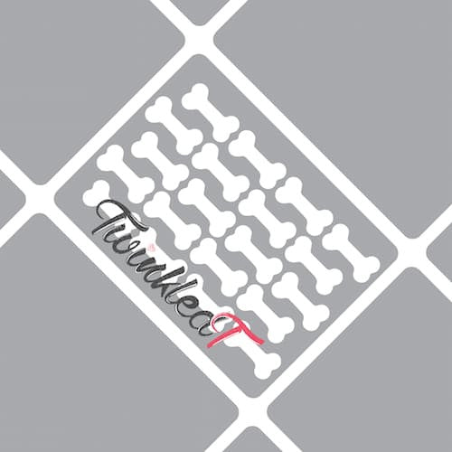 Bone Stencils