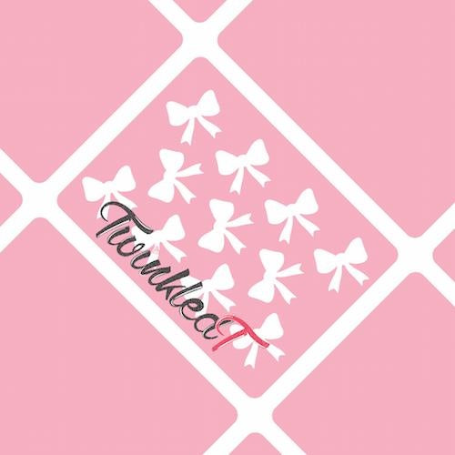 Dainty Bow Stencils