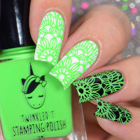 Rainbow Stamping Polish Bundle